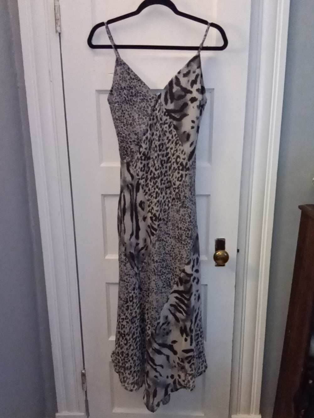 Animal-Print Maxi Slip Dress